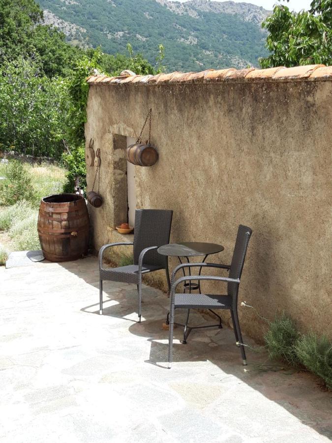 Casa Franceschi Panzió Pioggiola Kültér fotó